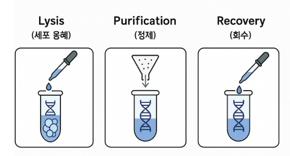 DNA RNA protein quantification