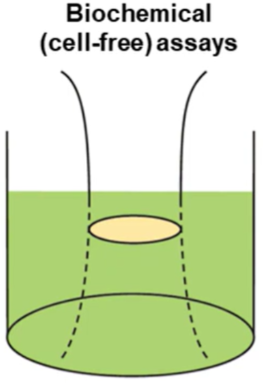 Top Read measurement concept